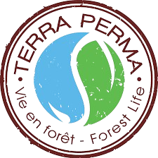 Clients Logo